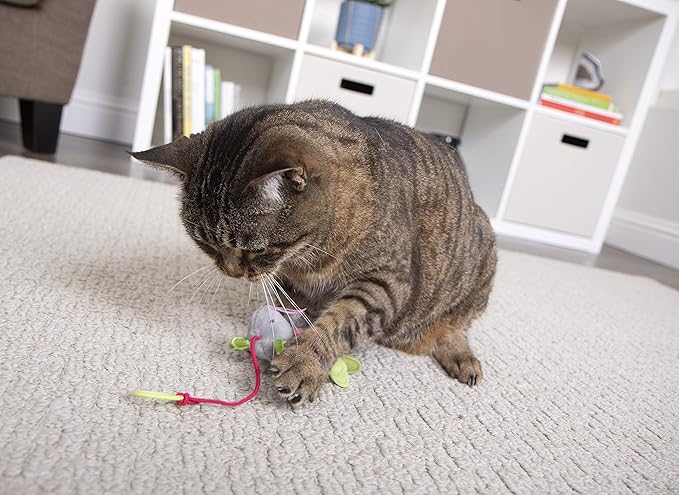 SmartyKat Bouncy Mouse Bungee Dangler Plush Cat Toy - Randomly Selected Color, One Size