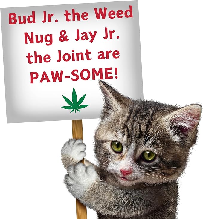 PAW:20 | Bud Jr. The Weed Nug and Jay Jr. The Joint Cat Toy Bundle | Funny Cat Toys | Cool Catnip Toys | Fun Novelty Gift | Play and Funny Photos | (2 Items)