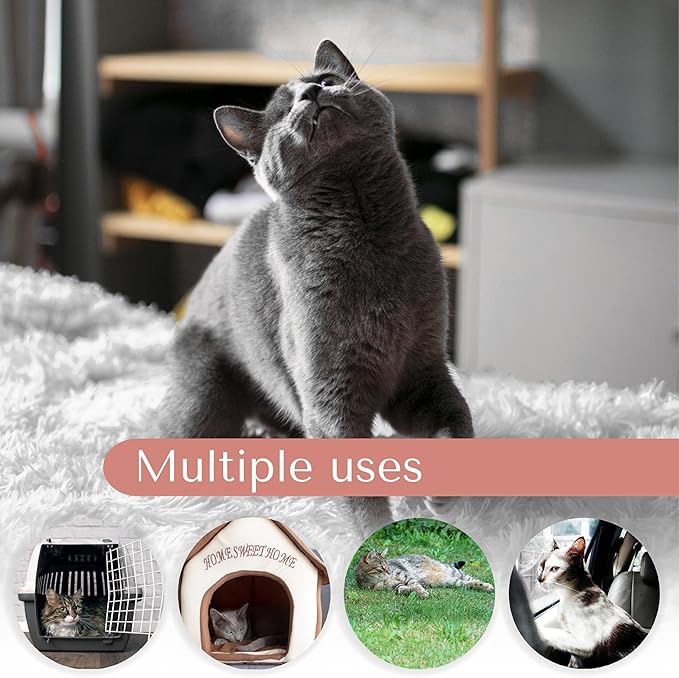 Washable Dog Cat Bed, Washable Pet Bed, Cat Beds for Indoor Cats, Dog Bed Medium Size Dog, Small Dog Bed, Comfortable Bed for Dogs and Cats (Medium 31L x 21W x 5Th inches)