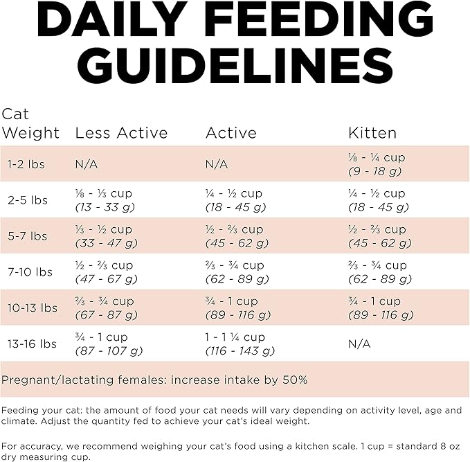 Go! Solutions Digestion + Gut Health, Dry Cat Food, Salmon Recipe with Ancient Grains, 8 lb Bag