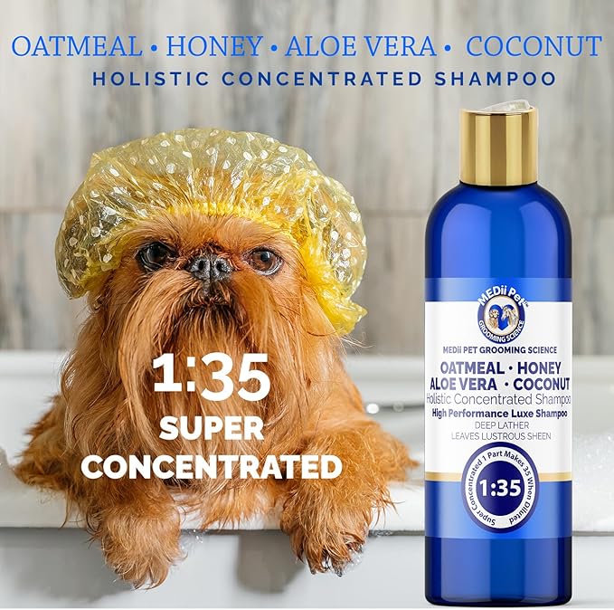 Oatmeal Aloe Honey Coconut Concentrated Shampoo - Natural Scent, Foams & Rinses Easily, 16 Oz Oatmeal Dog Shampoo for Itchy Skin, Makes 4 Gallons