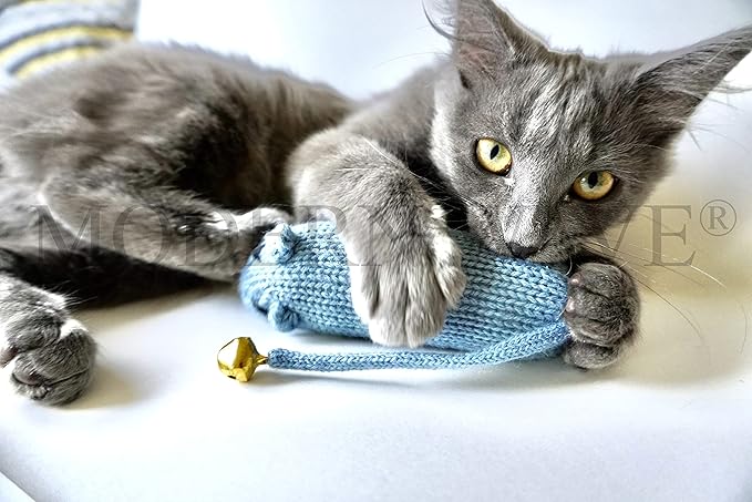 MODERN WAVE - Catnip Handmade Kittens Cats Toys Collection in Gift 4-Pack Box (Felted Fish, Lama, Knitted Mouse with Bell, Cat Heart Teaser)