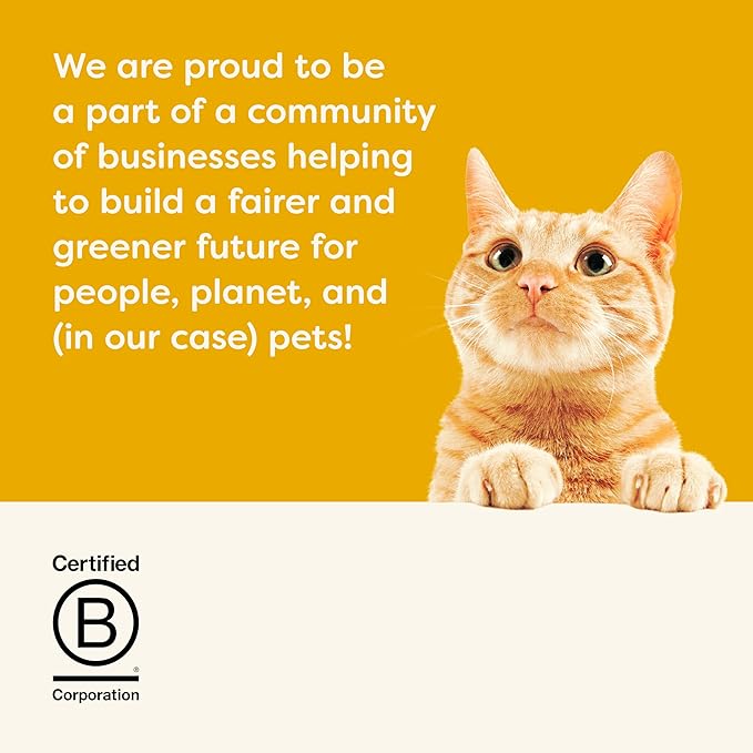 Applaws Natural Wet Cat Food, 12 Count, Limited Ingredient Wet Cat Food Pouches, Chicken Breast in Broth, 2.47oz Pouches