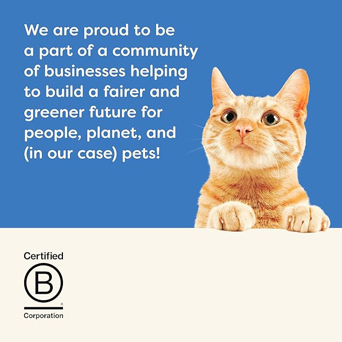 Applaws Complete Dry Cat Food, Grain Free, Limited Ingredient Food for Cats, Added Vitamins and Minerals for a Balanced Diet, Whitefish Recipe, 3 x 4 lb Bags