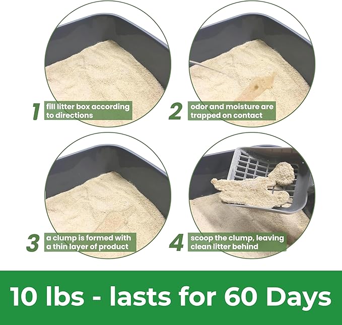 Almo Nature: Natural Unscented Cat Litter - 10 lbs - Non-Toxic, 100% Plant-Based, Clumping, Biodegradable, Compostable, for Cats & Kittens