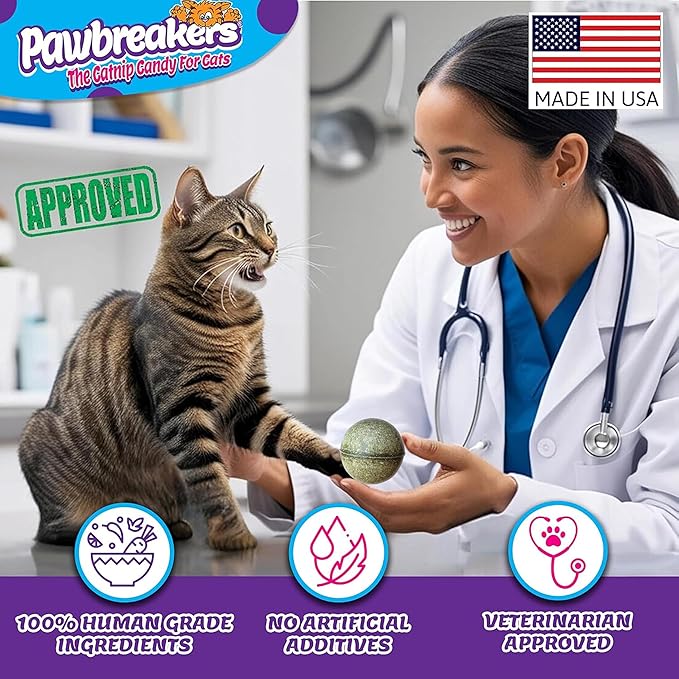 1-MegaBonkas Catnip Ball - All Natural Cat Treats, Medical Grade Catnip Treat and Toy, Catnip for Cats, Safe & Digestible, Hypoallergenic & Vegan - 3 oz - 2.25 inches diameter, Made in USA