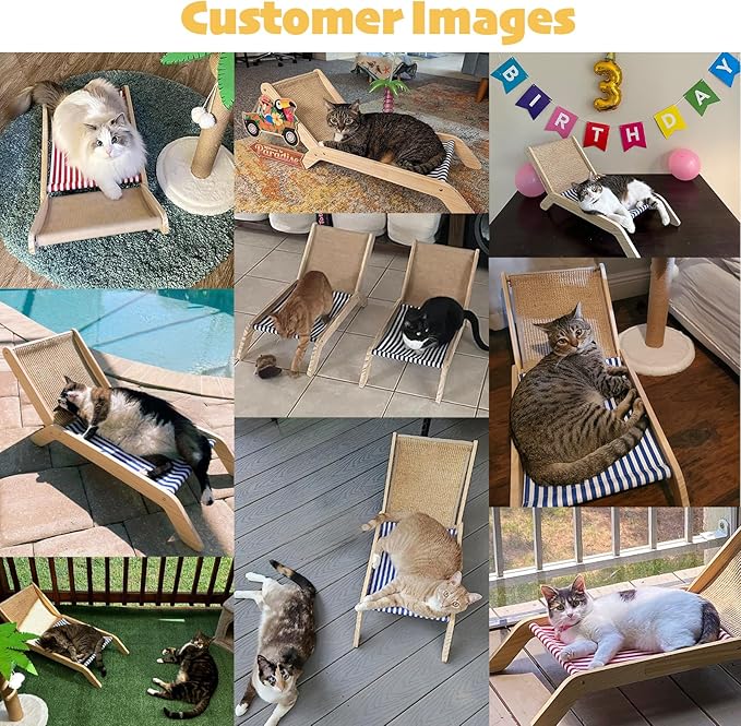 PETKARAY Cat Chair, Beach Theme Cat Hammock Bed, Raised Cat Bed Mini Cat Beach Chair, Cute Cat Lounger for Indoor Kittens