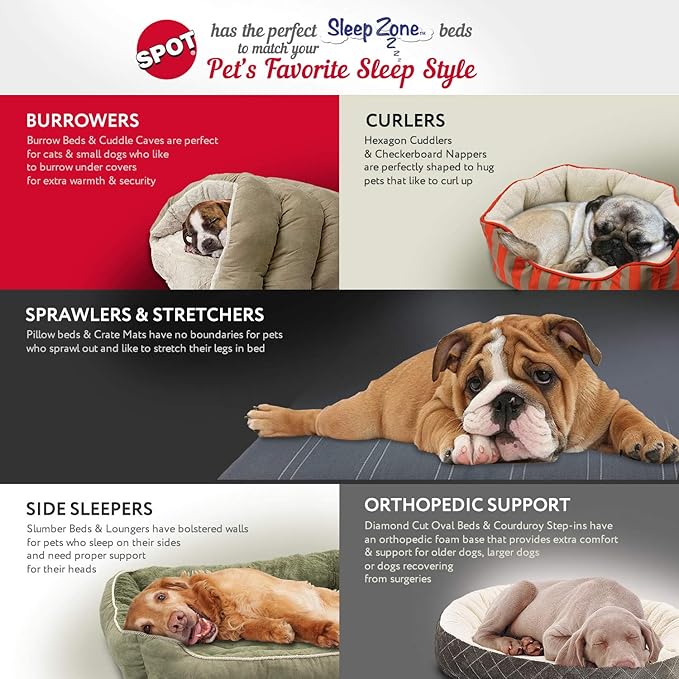 SPOT Sleep Zone Small Pet Bed - High Wall, Reversible Cushion Bed for Indoor Cats & Small Dogs, Durable Faux Suede, Machine Washable for Pets Under 10lbs and 15 inches Long - 18x16in, Chocolate Brown