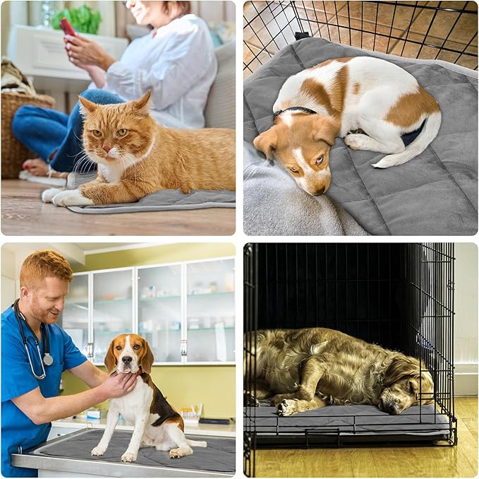 2pcs Self Heating Cat Mat, 16x20 Inch Self Heating Pet Pad Heat Reflective Soft Layer Warming Cat Bed Mat Non Skid Cat Thermal Pads for Cat Puppy Rabbit in Winter (Gray)