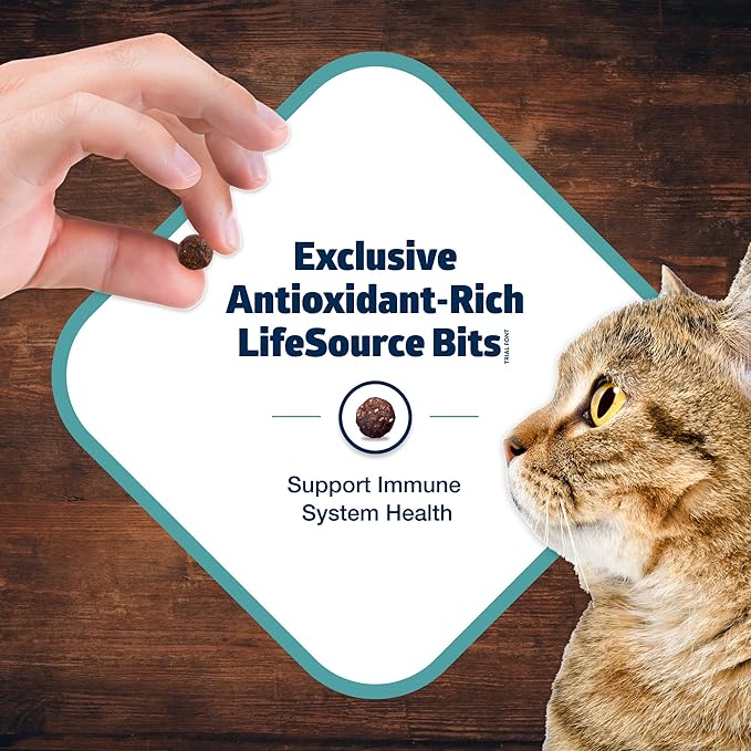 Blue Buffalo Freedom Grain-Free Adult Dry Cat Food, Complete & Balanced Nutrition for Indoor Cats, Made with Natural Ingredients, Fish Recipe, 5-lb. Bag