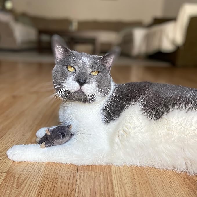 SPOT Flat Mouse Frankie with Catnip - Cat Toy, Fuzzy Mice with Catnip and Crinkle Sound, Perfect Size for Pouncing on, Chasing, Hunting - 5.5in Plush Toys, Assorted Colors