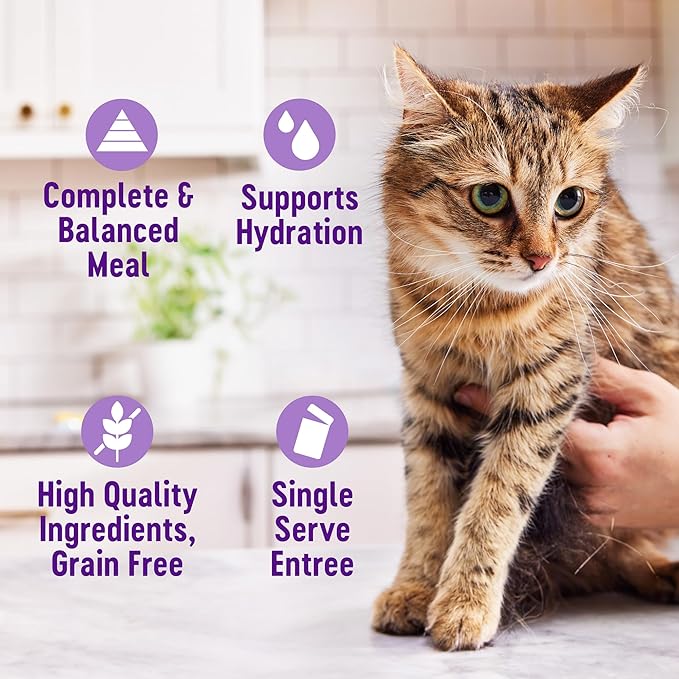 Wellness® Appetizing Entrées™ Little-a-This, Little-a-That, Seafood & Poultry Variety Pack, Natural Wet Cat Food, 1.4 oz Pouch (Pack of 8)