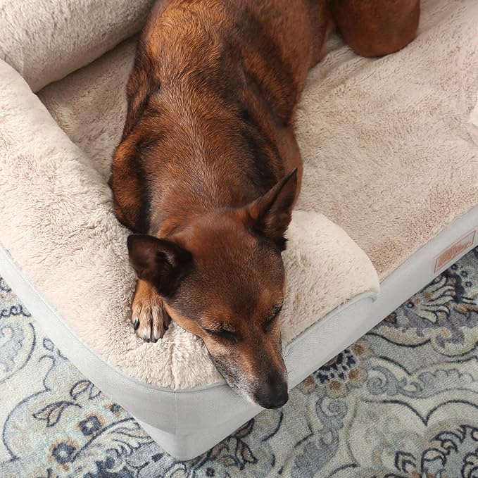 TOWN & COUNTRY EVERYDAY CuddleTown Comfy Solid Bolster Sofa Pet Bed, Supportive & Calming Egg Crate Foam, Water Repellent, Non-Slip Bottom, Machine Washable Cover, Grey, Large 35"x25"x8"