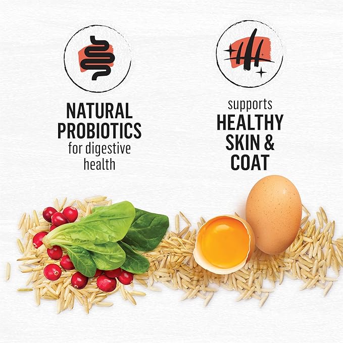 Beyond Purina Natural Wholesome Ingredients for Whole Health Dry Cat Food Salmon and Whole Brown Rice Recipe - 3 lb. Bag (Pack of 2)