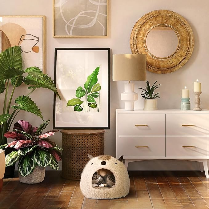 Max & Marlow Cat Covered Pet Bed with Removable Bed Pad, Cream, Medium