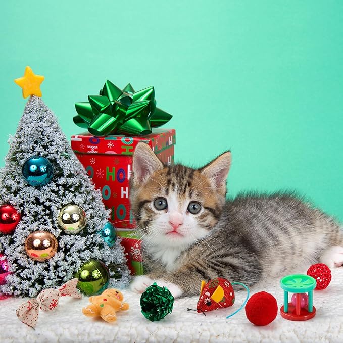 Shappy 31 Pcs Christmas Cat Toy Gifts Bag Set Assorted Toys Variety Cat Christmas Toys Xmas Gift Set for Kitten Kitty