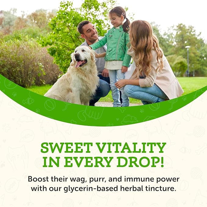 Animal Essentials Super Immune for Dogs & Cats - Immune System Support Supplement, Echinacea, Eleuthero, Olive Leaf Extract, Liquid Drops - 1 Fl Oz