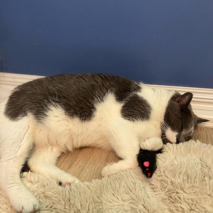 SPOT Ethical Shaggy Plush Ferret with Rattle and Catnip Cat Toy