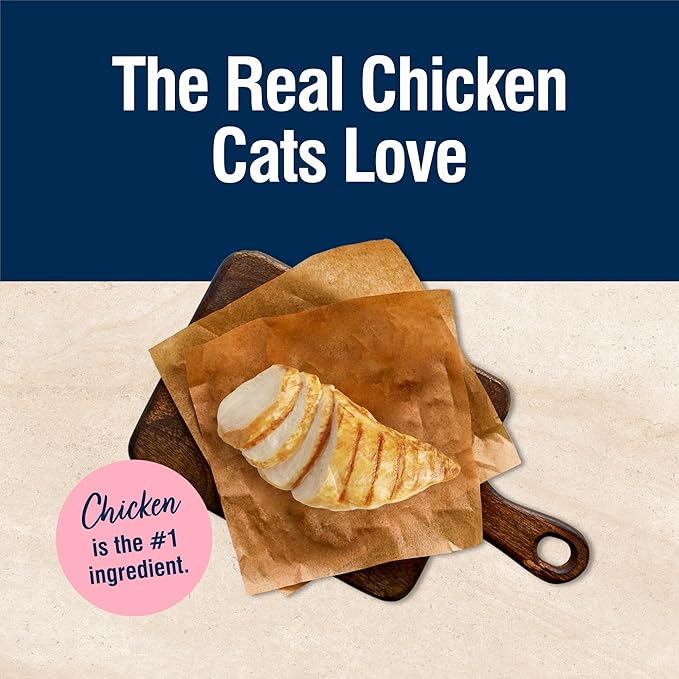 Blue Buffalo True Solutions Blissful Belly Digestive Care Natural Dry Food for Adult Cats, Chicken, 3.5-lb Bag