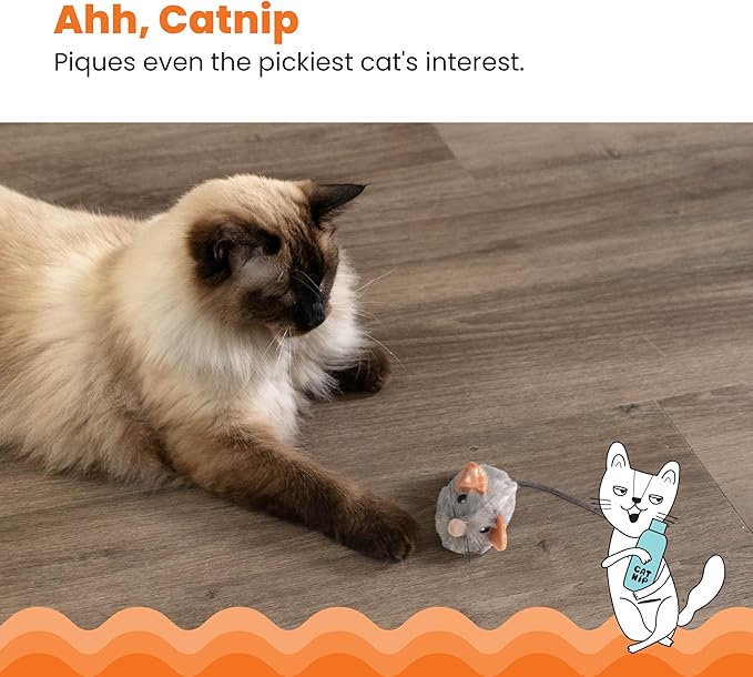 Catstages Squeak Squeak Mouse Plush Catnip Cat Toy