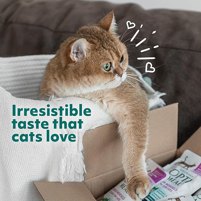 Optimeal Natural Dry Cat Food for Adult Cats - Proudly Ukrainian - Tasty and Nutritional Cat Food Dry Recipe with Immunity Support for Healthy Felines (8.8 lbs, Chicken & Brown Rice)