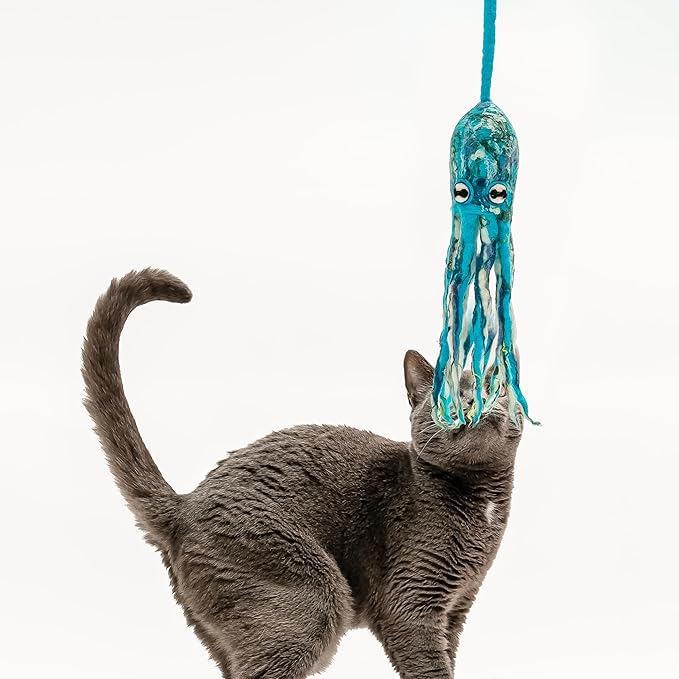 Cat in the Box Ink Floyd Wool Cat Octopus Toy with a 4-Foot Tether for Indoor Cats Kittens. Cute Cat Toy. Cat Kicker. Cat String Toy. Plush Cat Toy. Teaser Wand Kicker for Active Cats. No Catnip.