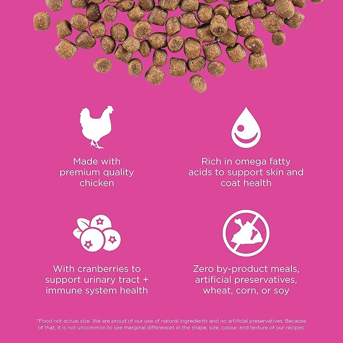 Go! Solutions Skin + Coat Care, Dry Cat Food, Chicken Recipe with Grains, 8 lb Bag