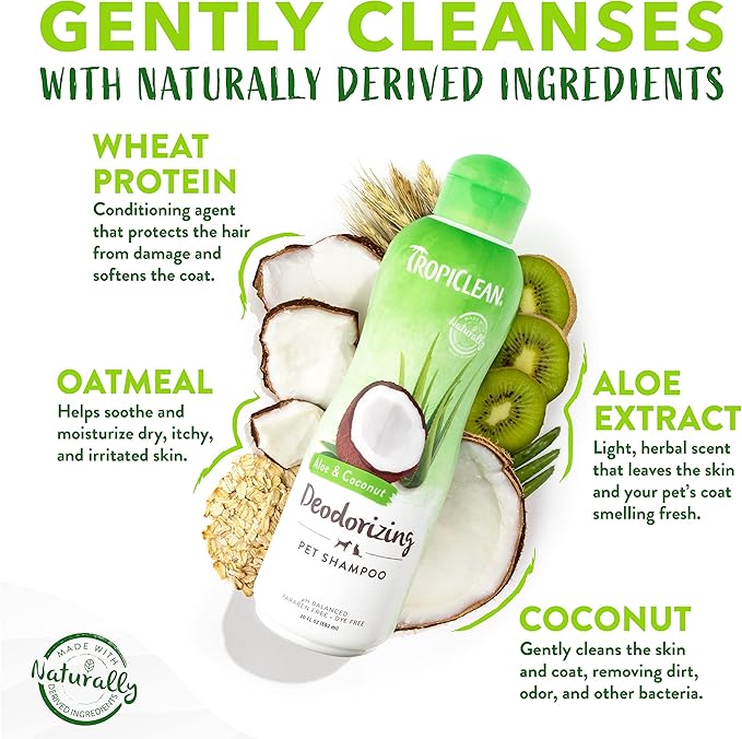 TropiClean Deodorizing Cat & Dog Shampoo for Smelly Dogs, Cats, Puppies, and Kittens, Powerful Odor Control, Coconut Scent, Made in the USA, 1 gallon