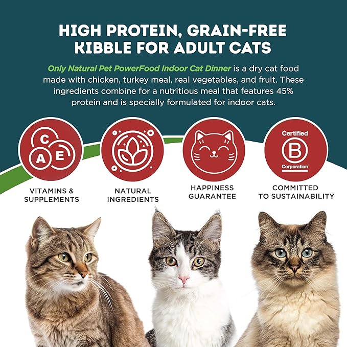 Only Natural Pet Powerfood Poultry Indoor Cat Dinner Dry Food - High-Protein Grain Free Kibble for Adult Cats, Made in USA and Supports Skin & Coat, Heart, & Immune Health, 3 Lb Bag