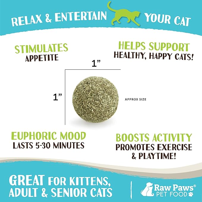 Raw Paws Catnip Balls for Cats, 6 (Pack) - Natural Catnip Ball Toy - Interactive Cat Toy for Indoor Cats - Cat Nip Balls - Catnip Licking Balls for Cats - Catnip Balls for Indoor Cats