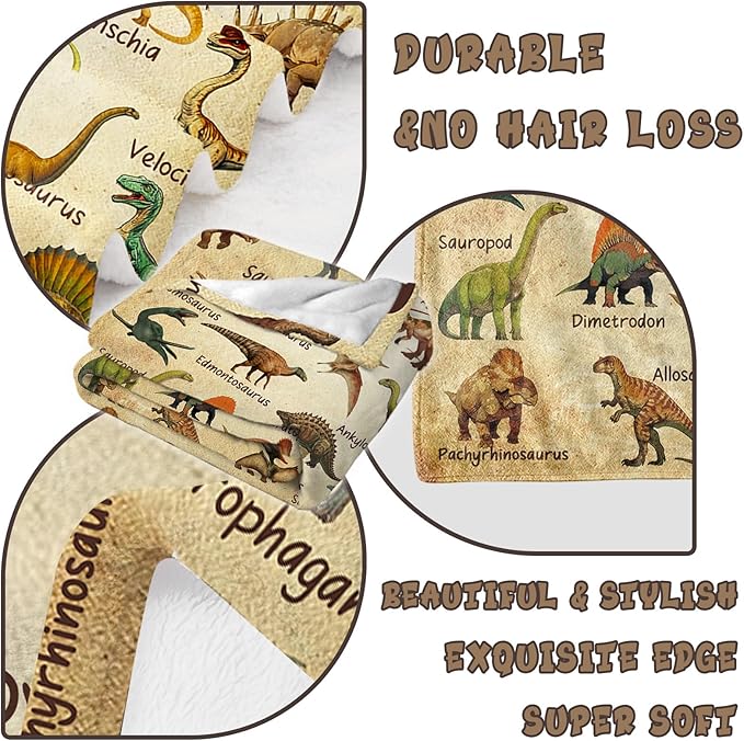 Dinosaur Blanket for Kids, Educational Gifts for Dinosaur Lovers Children Boy Girl, Jurassic World Dinosaurs Throw Blanket Ultra-Soft Skin-Friendly for Sofa Bed Home Dino Room Decor 50 * 40in