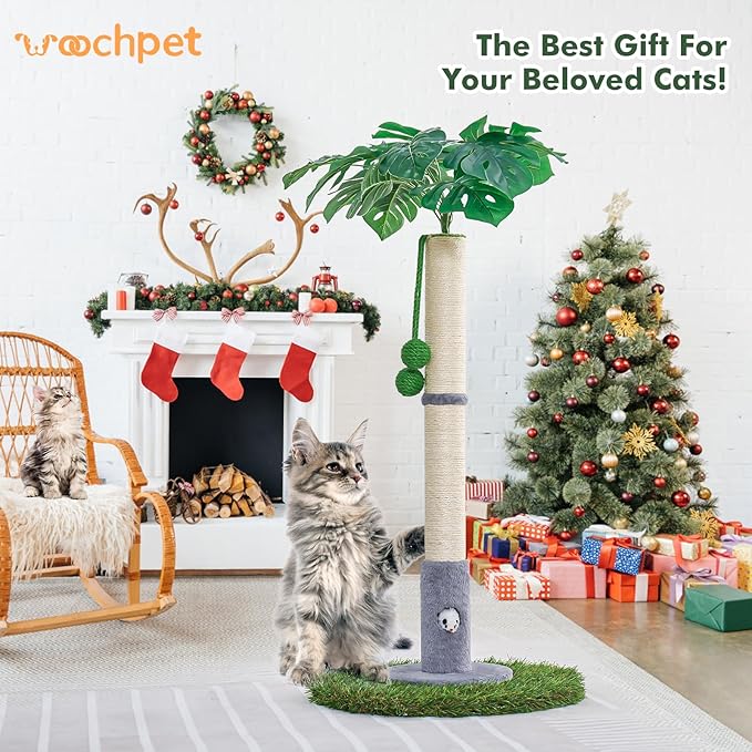 Cat Scratching Posts for All Cats with Hanging Ball and Sisal Rope Cat Toy, Simple Design - for Larger Cats - 35.43" Tall,Wooden Palm Tree Premium Basics Cat Toys Kitten（Grey