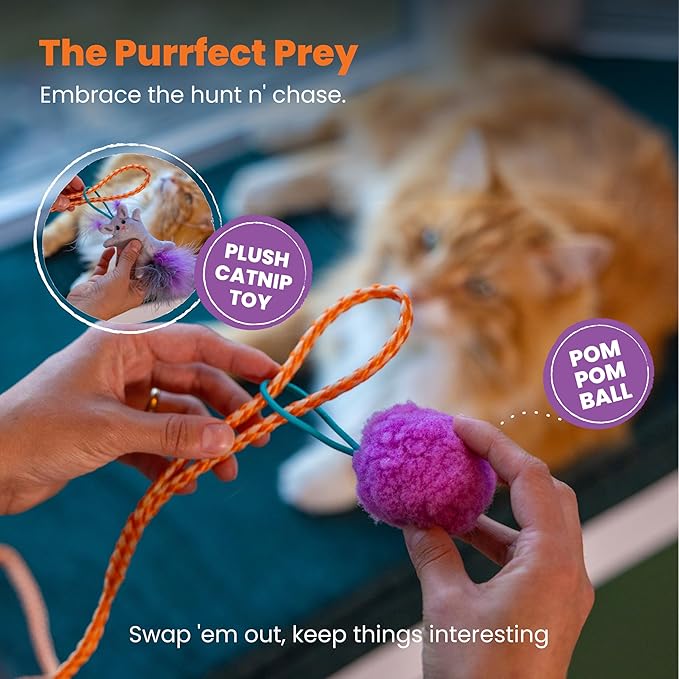 Catstages Cat-apult Spring Wand Durable and Interactive Cat Teaser Wand with Flinger Clip and Two Cat Toys, Catnip Toy and Pom Pom Ball, Blue