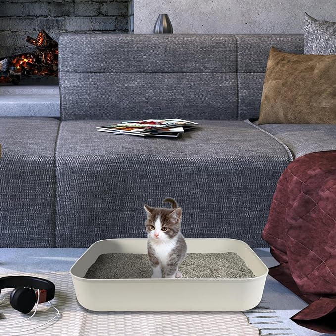 5PCS Small Litter Box, Plastic Kitten Litter Box, 13.9 x 9.8 x 3 Inch Open Litter Box for Small Pet, Easy to Clean (5 Color)