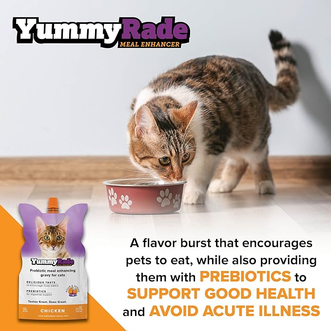 YummyRade – Pet Meal Topper for Dry Cat Food | Healthier Gravy Meal Enhancer & Tasty Low Calorie | Grain Free, Chicken Flavored | Flavor-Boosting Gravy Topper Pets Love! | 250ml x 3