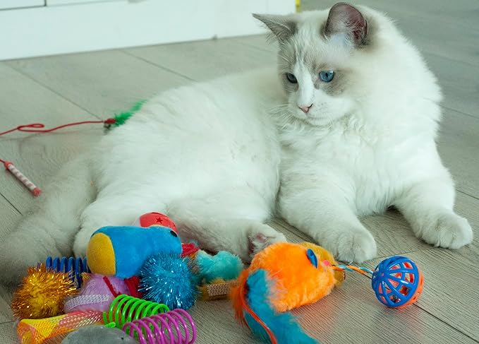 Fashion's Talk Cat Toys, Kitty Variety Pack for Kitten Cats, 20 Count Plush, Teaser & Ball Catnip Mice Cat Spring