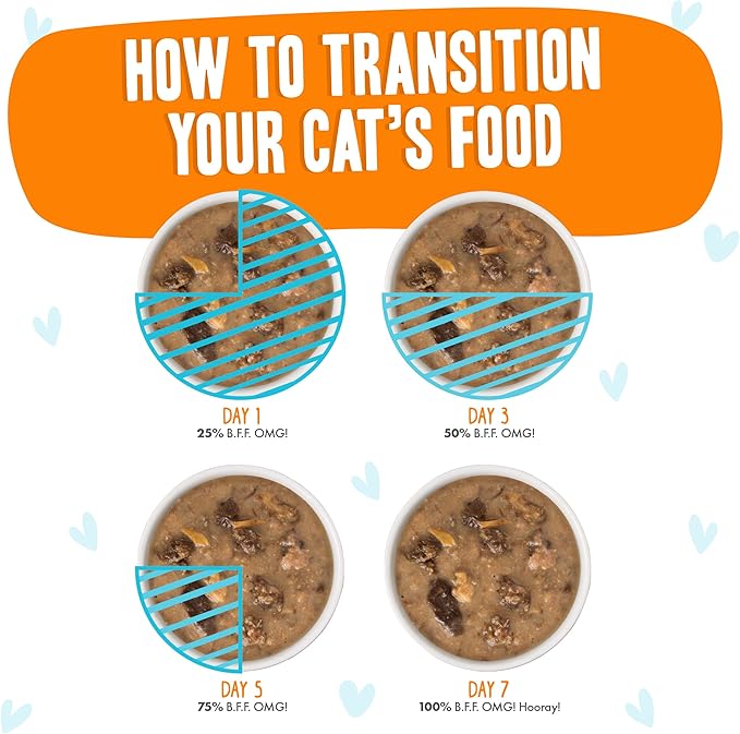 Weruva B.F.F. OMG - Best Feline Friend Oh My Gravy!, Purr-FECT Plannin'! with Chicken, Turkey & Salmon in Gravy Cat Food, 2.8oz Pouch (Pack of 12)