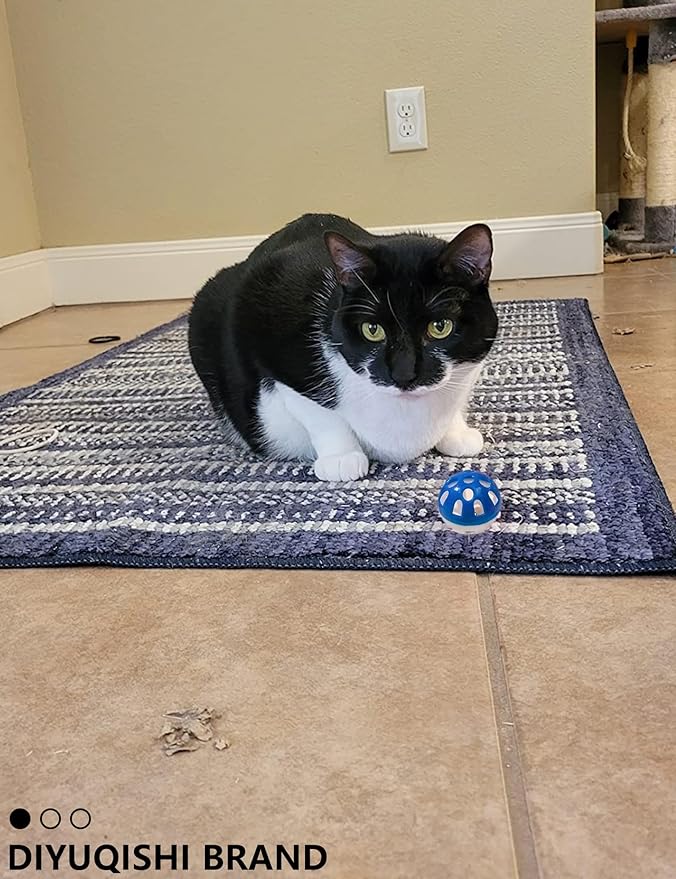 27 Pcs Cat Toys for Indoor Cats - Assorted Variety Pack with Wind-Up Mouse and Chicken, Bell Balls, and Plush Spheres for Endless Active Fun and Engagement