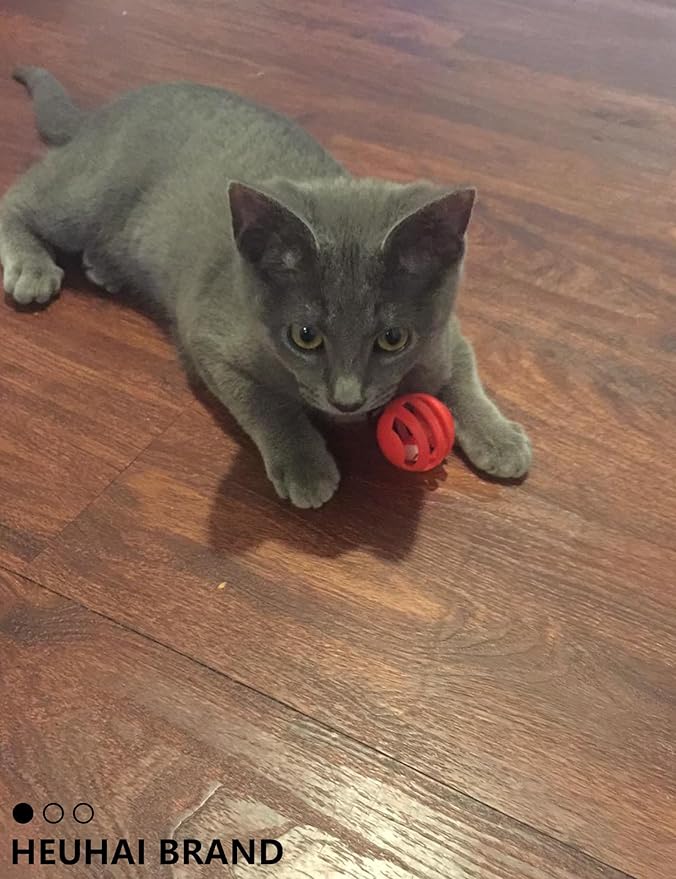 Cat Toy Balls Set - 6 Unique Styles & Colors with Bells, Sturdy Plastic Jingle Balls for Indoor Cats - Encourages Active Play & Mental Stimulation for All Cat Breeds & Sizes