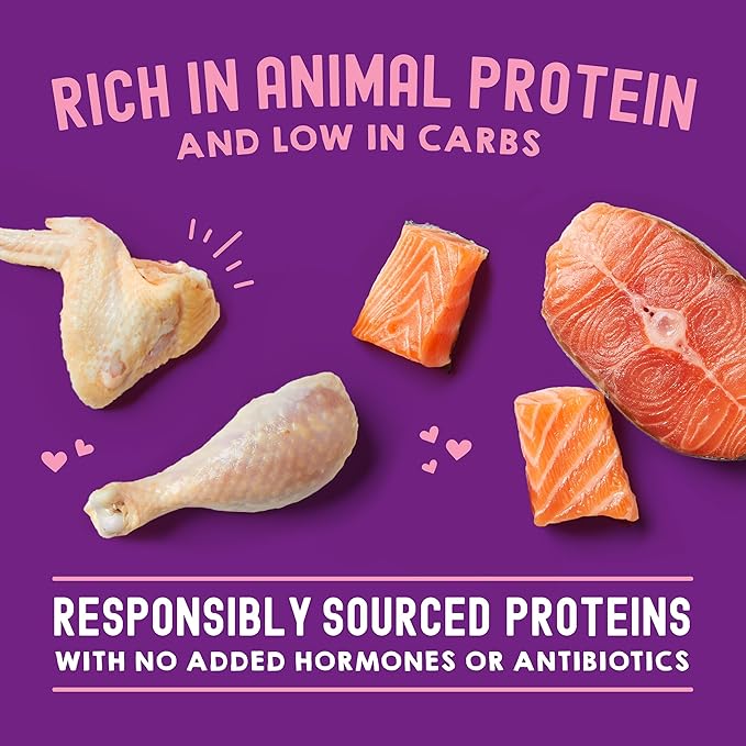 Stella & Chewy's Carnivore Cravings Wet Cat Food Pouches – Grain Free, Protein Rich Meal, Topper or Treat – Chicken & Salmon Recipe (2.8 Ounce Pouches, Case of 24)