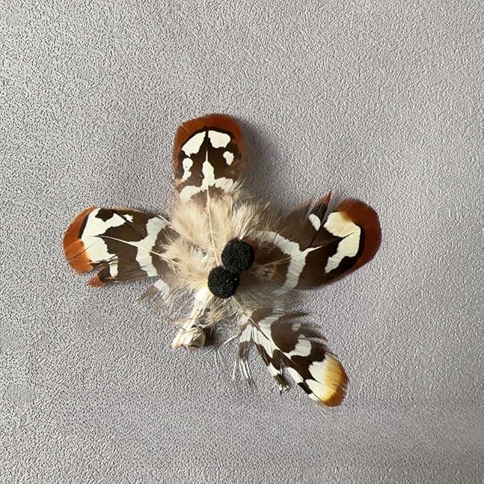 Cat Feather Toy Wand,Cat Wand Toy Lures Feather Refills,Set of 8 Insect Replacement Heads with Bells,Natural Feather Interactive Cat Toys for Indoor Cats (8pcs Refills)