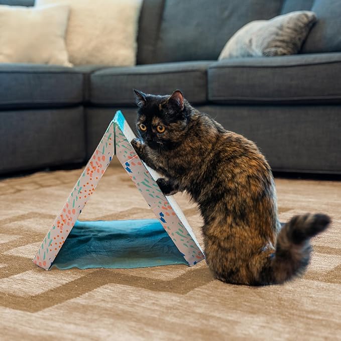 Catstages Fold Away Tunnel and Corrugated Cat Scratcher