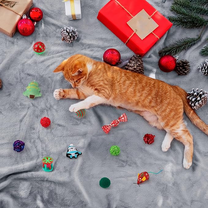 Shappy 31 Pcs Christmas Cat Toy Gifts Bag Set Assorted Toys Variety Cat Christmas Toys Xmas Gift Set for Kitten Kitty