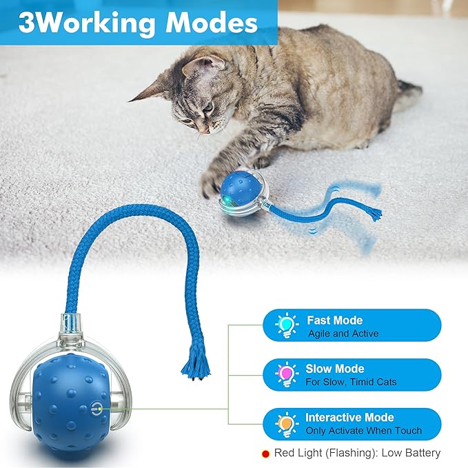 Cat Toys Ball for Indoor Cats - Interactive Automatic Cat Ball Toy | Fast Rolling & Motion Activated Chirping | Hide and Seek Mouse Catching Game | Stimulates Hunting Instincts (Blue)