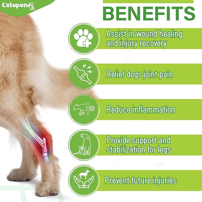 2PCS Dog Braces for Back Leg for Support. Dog Arthritis Brace. Hind Leg Support for Dogs. Leg Brace for Dogs Back Leg. Dog Leg Brace. Dog Back Leg Support Brace. Dog Hock Brace Rear Leg (L)