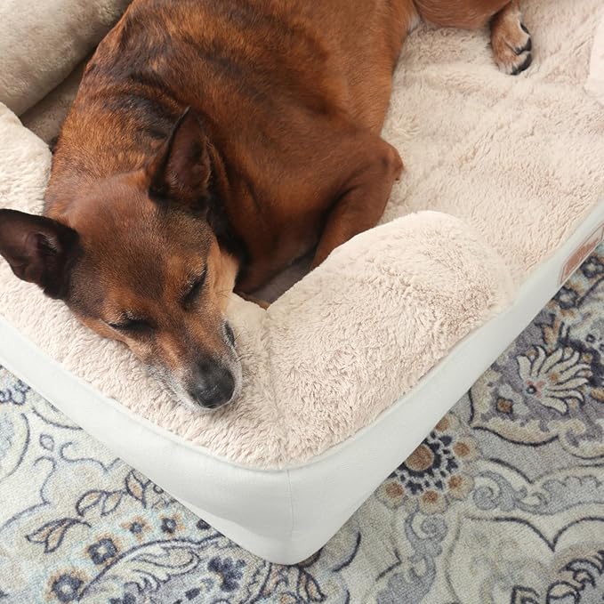 TOWN & COUNTRY EVERYDAY CuddleTown Comfy Solid Bolster Sofa Pet Bed, Supportive & Calming Egg Crate Foam, Water Repellent, Non-Slip Bottom, Machine Washable Cover, Cream, Medium 28"x23"x8"