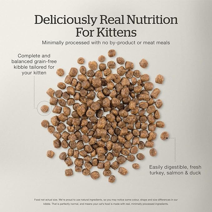 Now Fresh Grain-Free, Dry Cat Food, Turkey, Salmon and Duck Kibble, Real Meat and Fish Kitten Recipe, 3 lb Bag