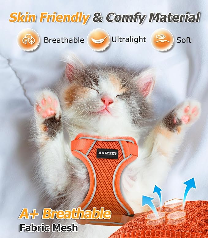 Halypet Cat Harness and Leash Set [MAX Safety 4th-Gen Upgrade] Escape Proof Adjustable Cat Leash Comfortable Soft Vest Easy to Wear Kitten Harness with Reflective Strip for Cats Walking, XS Orange
