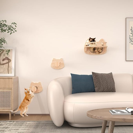 Transparent Capsule Cat Wall Furniture Set of 3, Cat Shelves with 2 Sisal Scratching Steps, Wall Mounted Cat Bed for Kitty or Cats up to 33 lbs