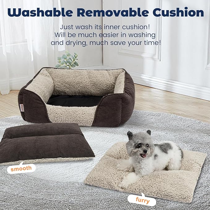 Miguel Washable Cat Beds for Indoor Cats with Removable Cushion, Easy to Wash Small Pet Sofa Bed with Side, Rectangle Bolster Kitten Bed Calming Cuddle Puppy Bed with Anti-Slip Bottom, Brown 20 Inch